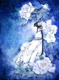 穿书之循规蹈矩